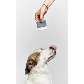 Champú Sólido para Mascotas 100gr.